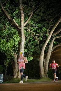 BIB: 
                            <button type="button" onclick="openModal(26547611)" class="btn btn-primary btn-sm float-right btn-popup" data-toggle="modal" data-target=".modal-high-quality">
                        <i class="fas fa-shopping-cart"></i> Add to Cart
                    </button>
                                            <button type="button" onclick="isThisMe(26547611, true)" class="btn btn-success btn-sm float-right btn-popup btn-isme hidden" data-toggle="tooltip" data-placement="bottom" title="นี่คือรูปของคุณใช่ไหม คลิกที่นี่เพื่อเอาเข้าอัลบั้ม">
                        <i class="fas fa-plus"></i> Add to album
                    </button>
                    <button type="button" onclick="isThisMe(26547611, false)" class="btn btn-warning btn-sm float-right btn-popup btn-isnotme hidden">
                        <i class="fas fa-ban"></i> Remove from album
                    </button>